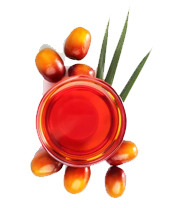 Oils