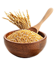 Cereal