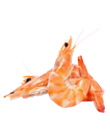 Seafoods